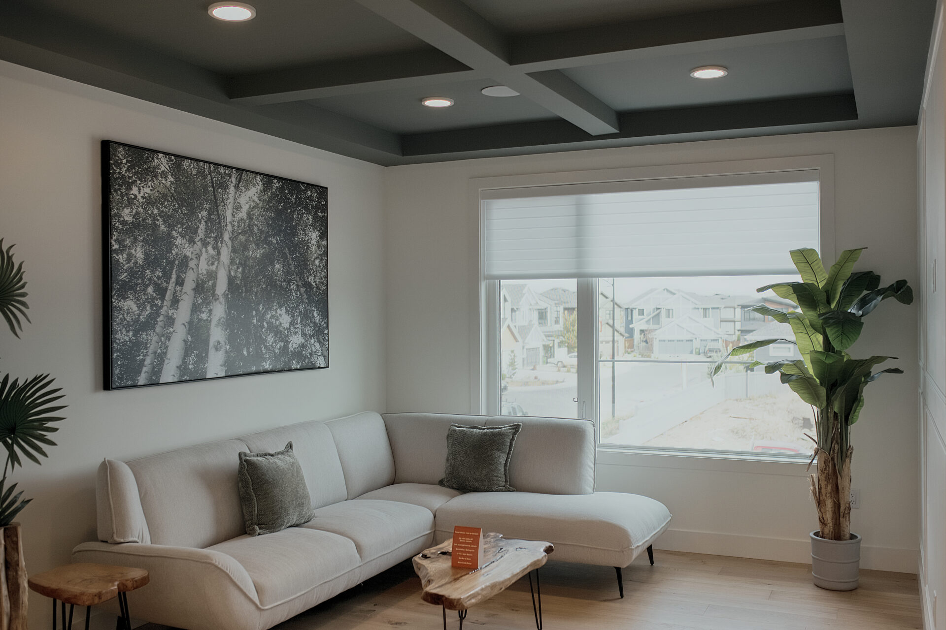 Modern residential living room with sleek roller blinds from our Edmonton gallery